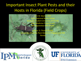 Important Insect Plant Pests and their Hosts in Florida