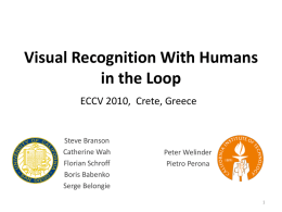 Visual Recognition With Humans in the Loop
