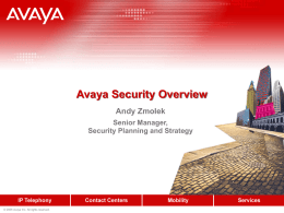 Avaya Customer Security Presentation