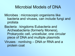 Ch. 18 – Microbial Models of DNA