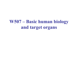 W507 – Basic human biology and target organs