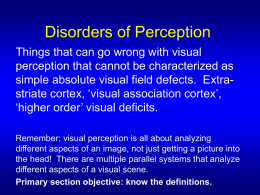 Disorders of Perception - UAB School of Optometry