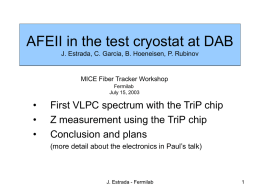 Testing of the TriP chip in DAB3 J. Estrada, C. Garcia, B