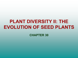 PLANT DIVERSITY II: THE EVOLUTION OF SEED PLANTS