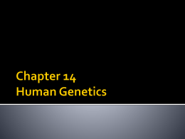 Chapter 14 Human Genetics - Hollidaysburg Area School