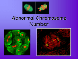 Abnormal Chromosome Number