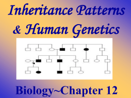 Biology~Chapter 12