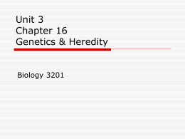 Section 16.4 Human Genetics
