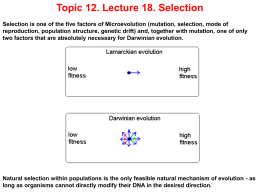 Slide 1