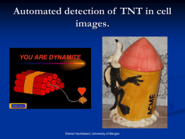 Automated detection of cell connections in digital images