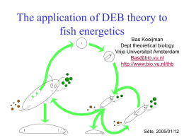 The application of DEB theory to fish energetics