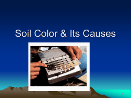 Soil Color & Its Causes