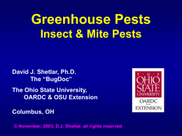Greenhouse Pests - in blue