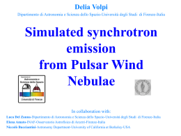 Simulated synchrotron emission from Pulsar Wind Nebulae