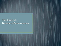 The Book of Numbers/Deuteronomy