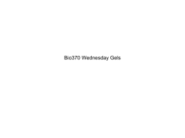 Bio370 Wednesday Gels