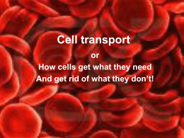 Cell transport - Norman Public Schools