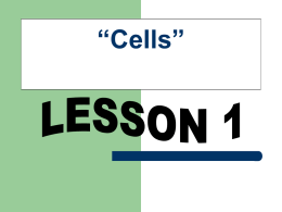 Chapter 2 “Cells” Section 1: “Cell Structure Pages 38 – 40