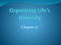 Organizing Life’s Diversity