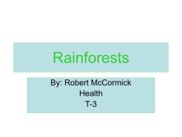 Rainforests - Laconia School District