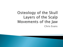 Osteology of the Face and Skull, Scalp Layers and Jaw