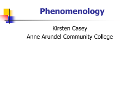 P583: Phenomenology and Science Education Research