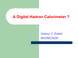 Towards a Digital Hadron Calorimeter