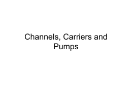 Channels, Carriers and Pumps - Washington State University