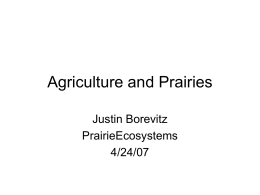 Agriculture and Prairies