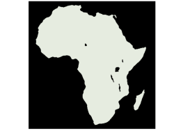 European Colonialism in Africa