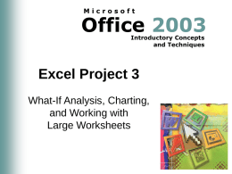 Excel Project 3 - York Technical College
