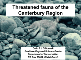 Threatened fauna of the Canterbury Region