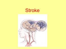 Stroke - TOP Recommended Websites
