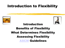 Introduction to Flexibility (13 June 2000)