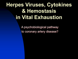 Herpes Viruses, Cytokines & Hemostasis in Vital Exhaustion