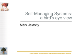 Self-Managing Systems: an Introduction
