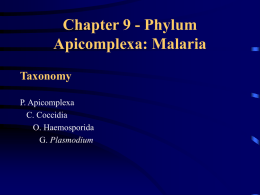 Chapter 9 - Phylum Apicomplexa: Malaria