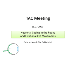 TAC Meeting - Christian Mendl