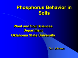 P (Phyllis) behavior in soils