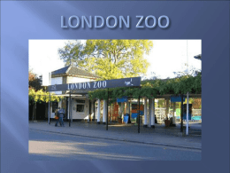 LONDON ZOO - Портал для учителя