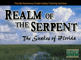 Snakes of Florida - Naples Zoo at Caribbean Gardens