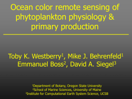 Carbon-Based Net Primary Production and Phytoplankton