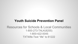 Youth Suicide Prevention Panel