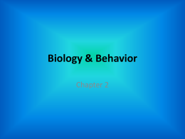Biology & Behavior