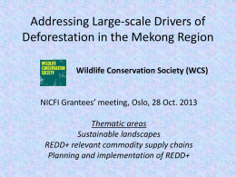 Addressing Large-scale Drivers of Deforestation in the