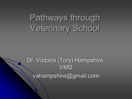 Pathways through Veterinary School