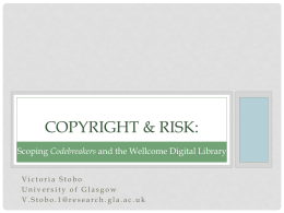 Copyright & Risk: