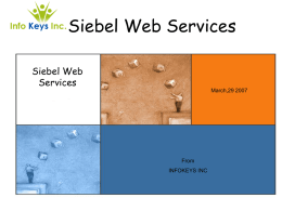 Siebel Web Services - Welcome to InfoKeys