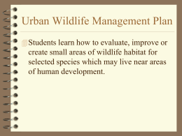 Urban Wildlife Management Plan - Utah 4-H