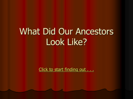 What Did You Ancestors Look Like?